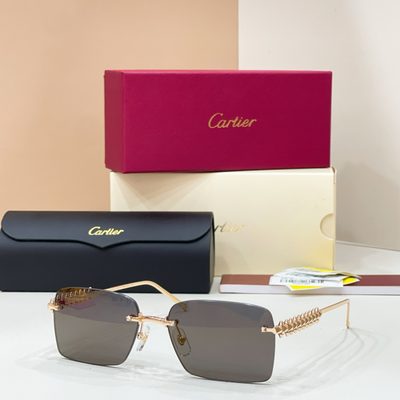 Cartier Sunglasses — 7