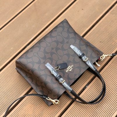 Coach Bag — 3