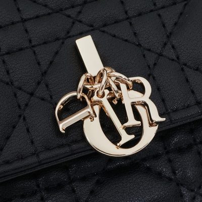 Dior Bag — 5