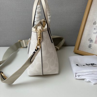 Coach Bag — 5