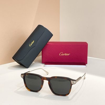 Cartier Sunglasses — 5