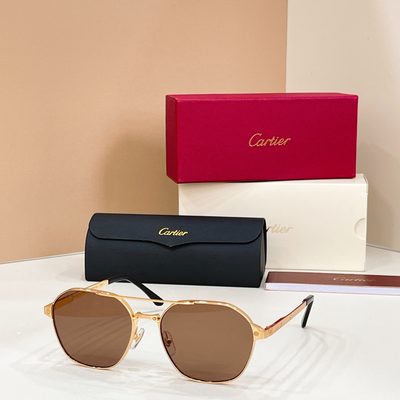 Cartier Sunglasses — 7