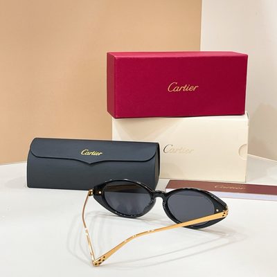 Cartier Sunglasses — 4