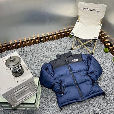 The North Face 1996 Retro Nuptse Puffer Jacket — 6