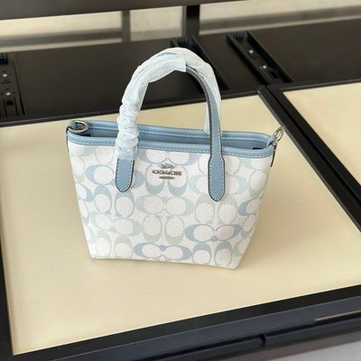 Coach Bag — 6