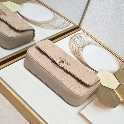 Dior Bag — 6