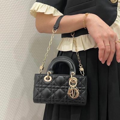 Dior Bag — 4