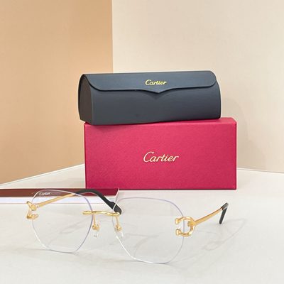 Cartier Sunglasses — 7