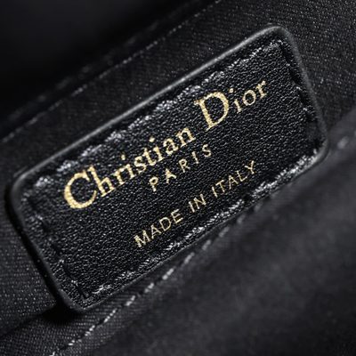 Dior Bag — 8