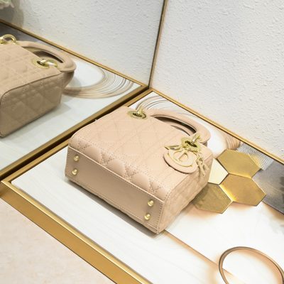 Dior Bag — 4