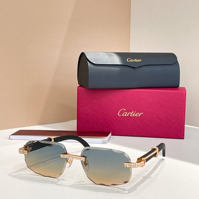 Cartier Sunglasses — 3