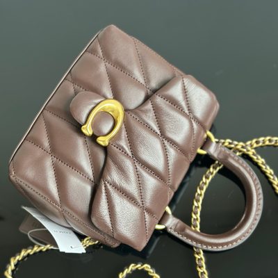 Coach Bag — 4