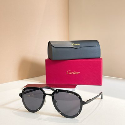 Cartier Sunglasses — 5