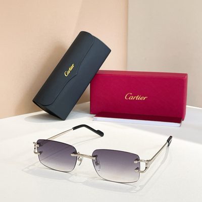 Cartier Sunglasses — 3