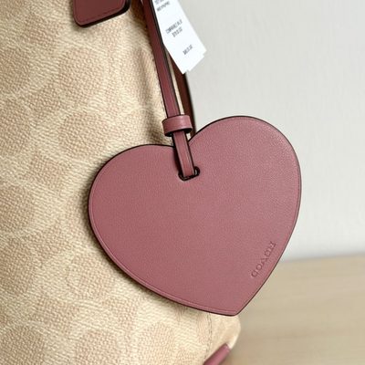 Coach Bag — 5