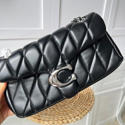 Coach Bag — 6