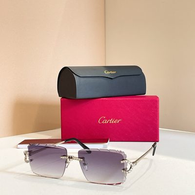 Cartier Sunglasses — 7