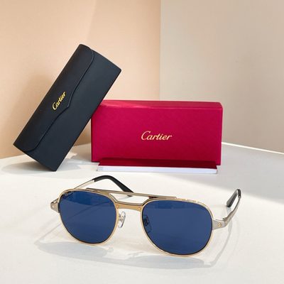 Cartier Sunglasses — 6