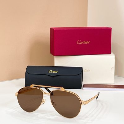 Cartier Sunglasses — 3