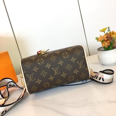 Louis Vuitton Bag — 7