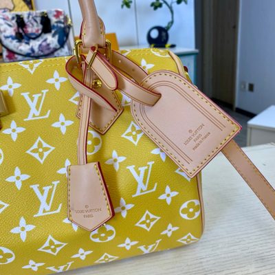 Louis Vuitton Bag — 7