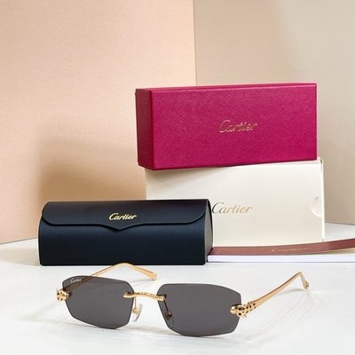 Cartier Sunglasses — 4