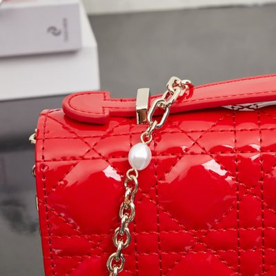 Dior Bag — 7