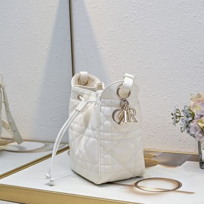 Dior Bag — 4