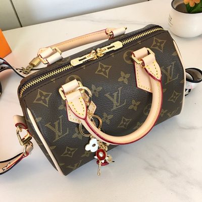 Louis Vuitton Bag — 8