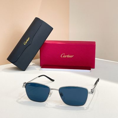 Cartier Sunglasses — 8