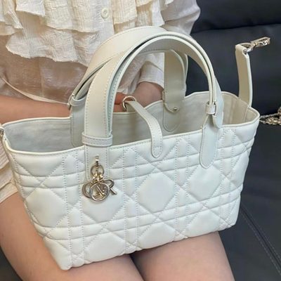Dior Bag — 9