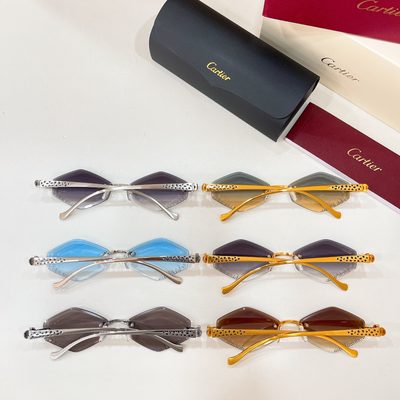 Cartier Sunglasses — 9
