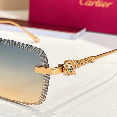 Cartier Sunglasses — 9