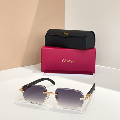 Cartier Sunglasses — 5