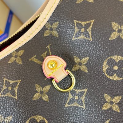 Louis Vuitton Bag — 7