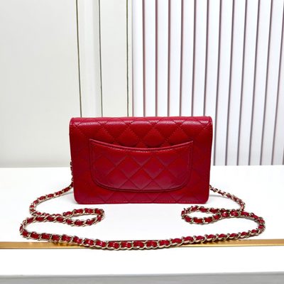 Chanel Bag — 4