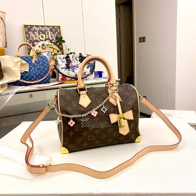 Louis Vuitton Bag — 6