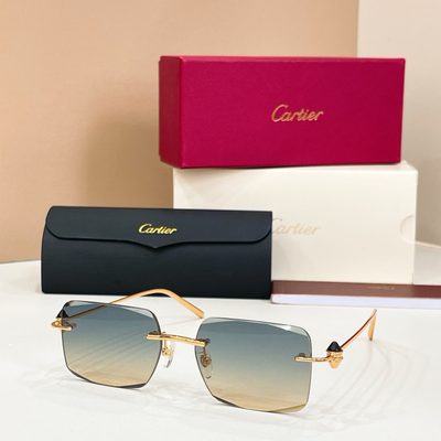 Cartier Sunglasses — 4