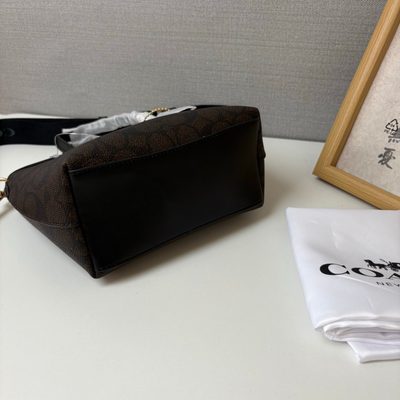 Coach Bag — 6