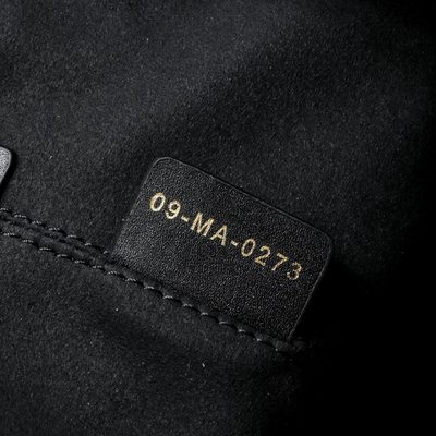 Dior Bag — 9