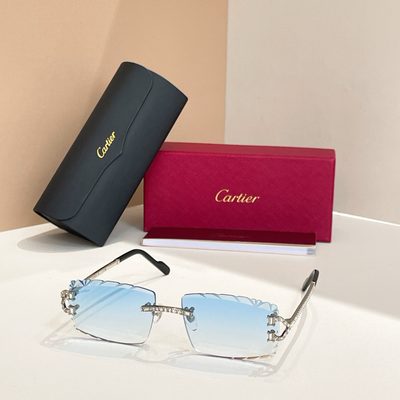 Cartier Sunglasses — 6