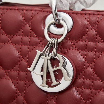 Dior Bag — 5