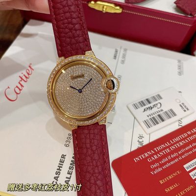 Cartier Watch — 4