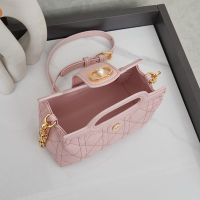 Dior Bag — 9