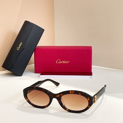 Cartier Sunglasses — 6