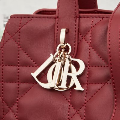 Dior Bag — 5