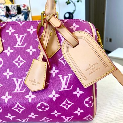 Louis Vuitton Bag — 6