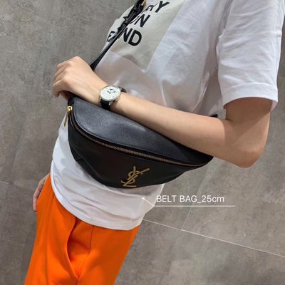 YSL Bag — 6