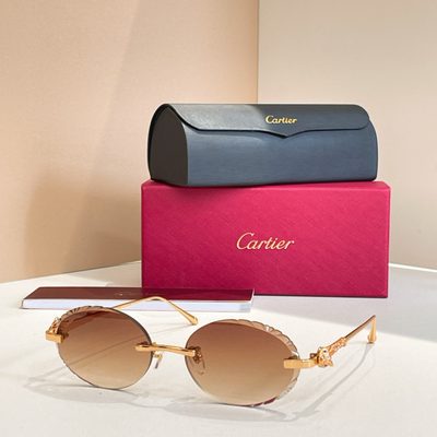 Cartier Sunglasses — 4