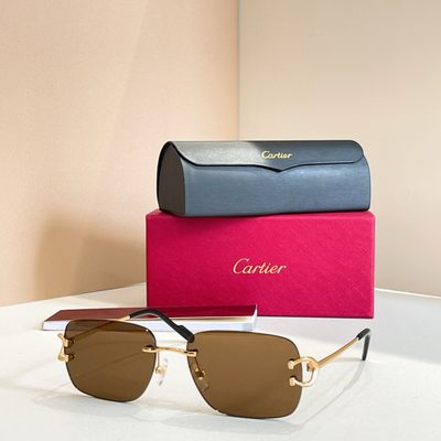 Cartier Sunglasses — 5